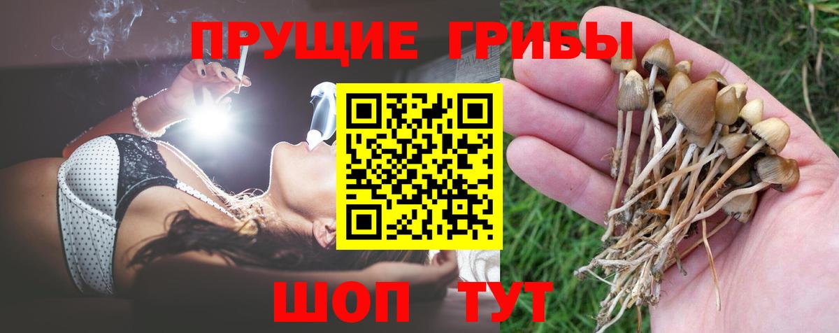 Галлюциногенные грибы прущие грибы Нерюнгри