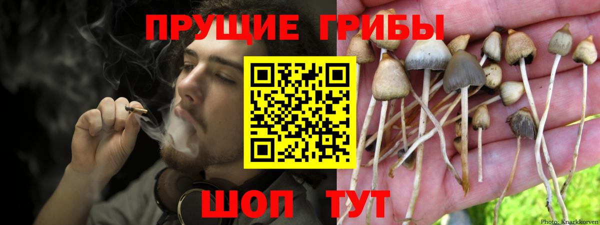 Псилоцибиновые грибы мицелий  Вход с VPN  Псилоцибиновые грибы MAGIC MUSHROOMS  Нерюнгри 